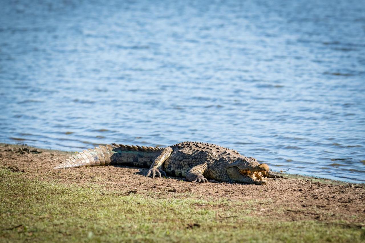 Nkuhlu Tented Camp สกูกูซา ภายนอก รูปภาพ