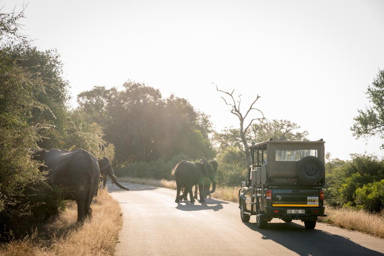 Nkuhlu Tented Camp สกูกูซา ภายนอก รูปภาพ