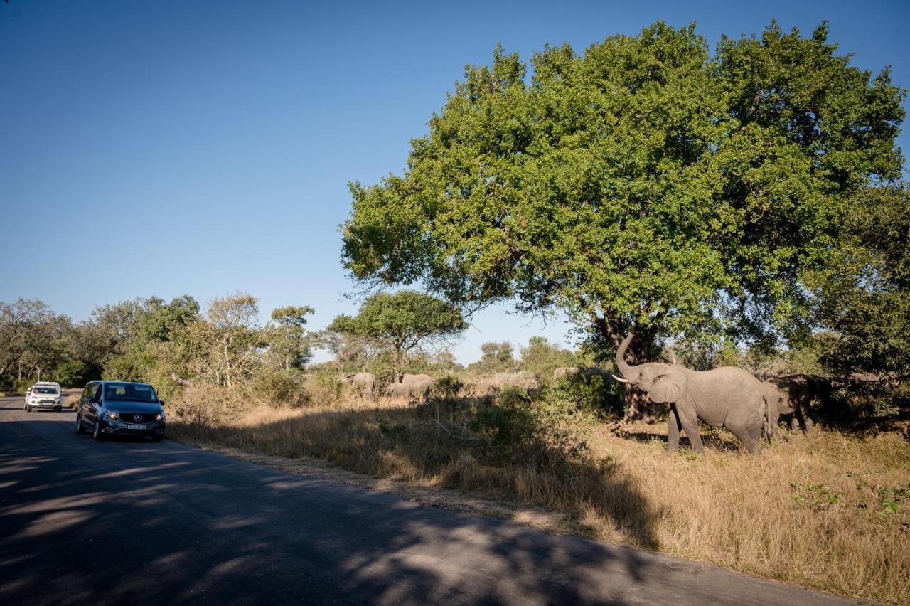Nkuhlu Tented Camp สกูกูซา ภายนอก รูปภาพ