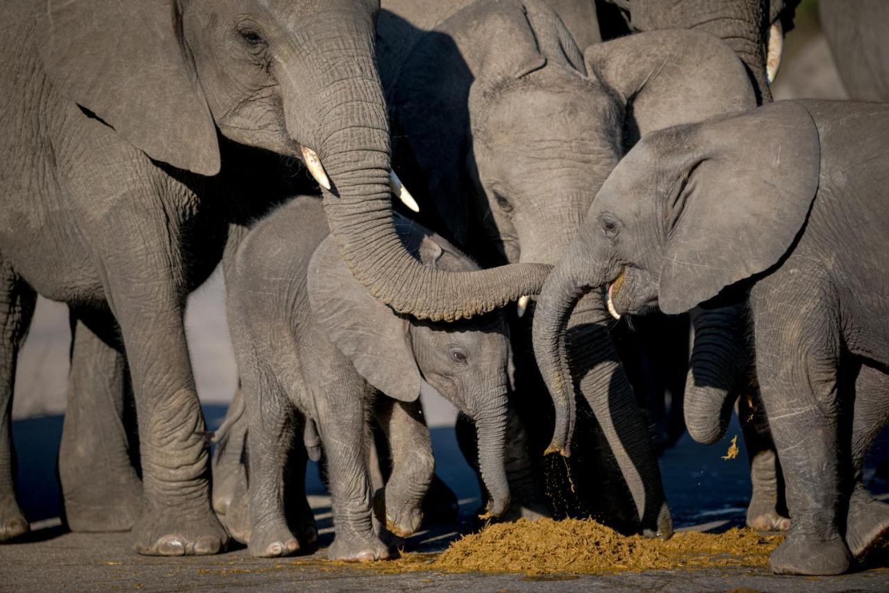 Nkuhlu Tented Camp สกูกูซา ภายนอก รูปภาพ