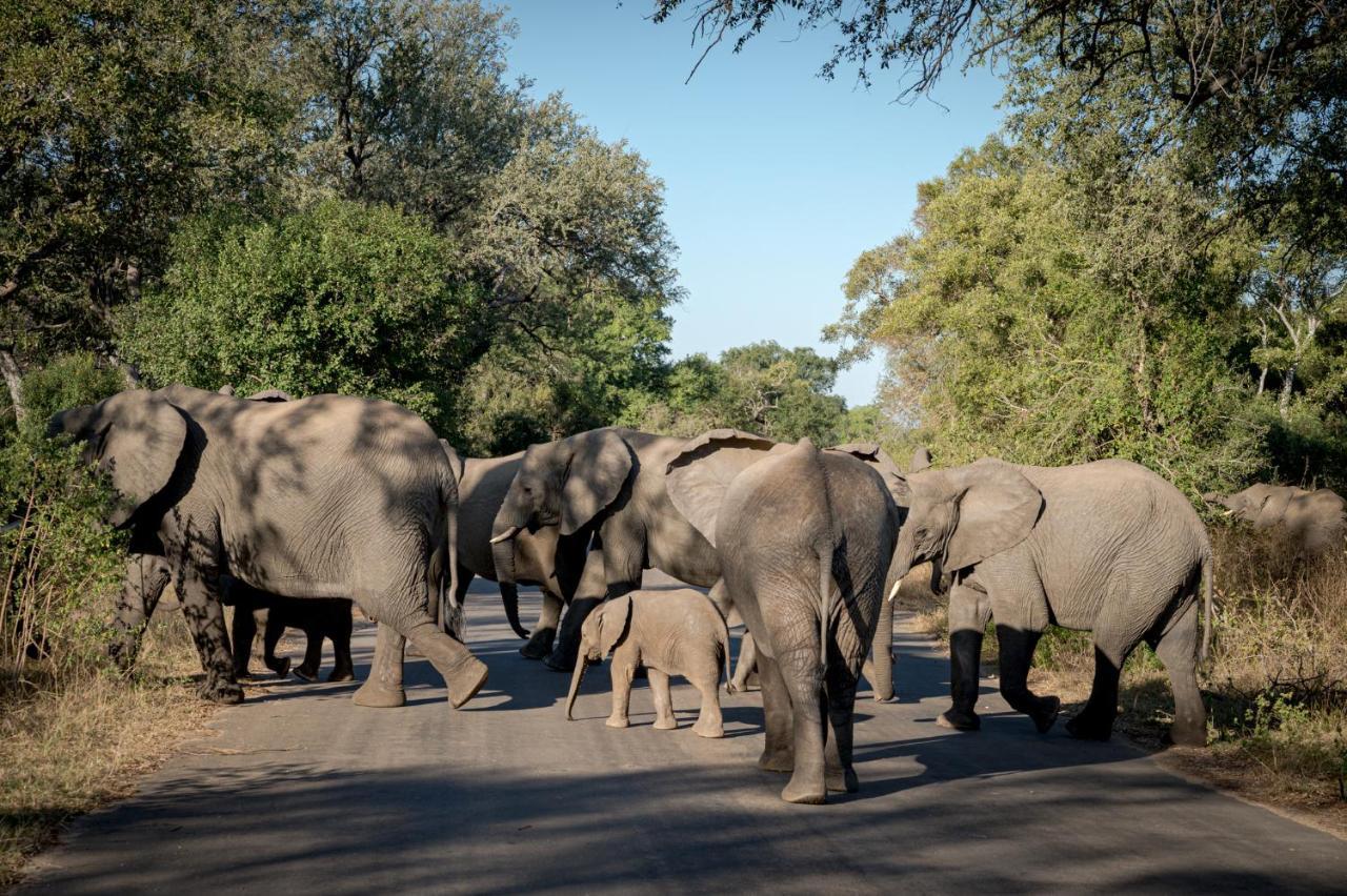 Nkuhlu Tented Camp สกูกูซา ภายนอก รูปภาพ