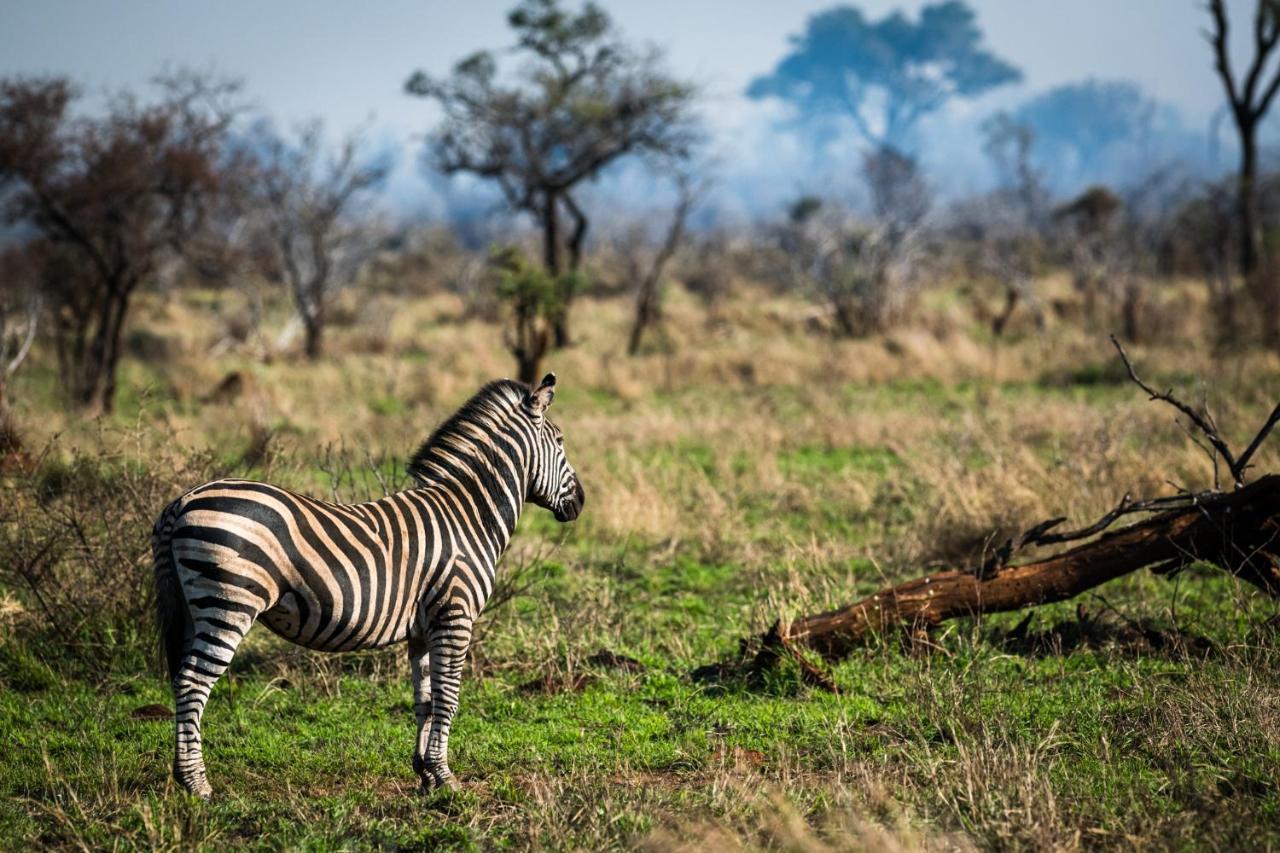 Nkuhlu Tented Camp สกูกูซา ภายนอก รูปภาพ