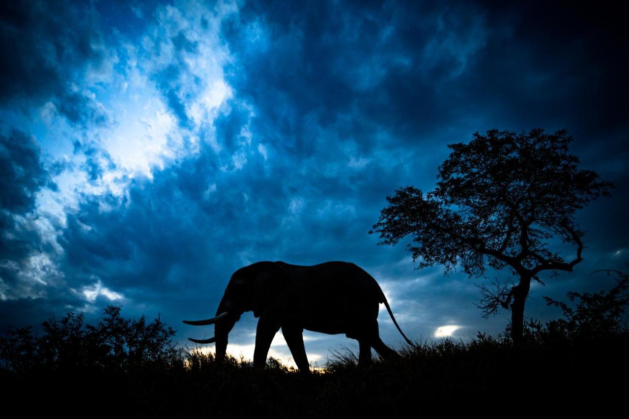 Nkuhlu Tented Camp สกูกูซา ภายนอก รูปภาพ