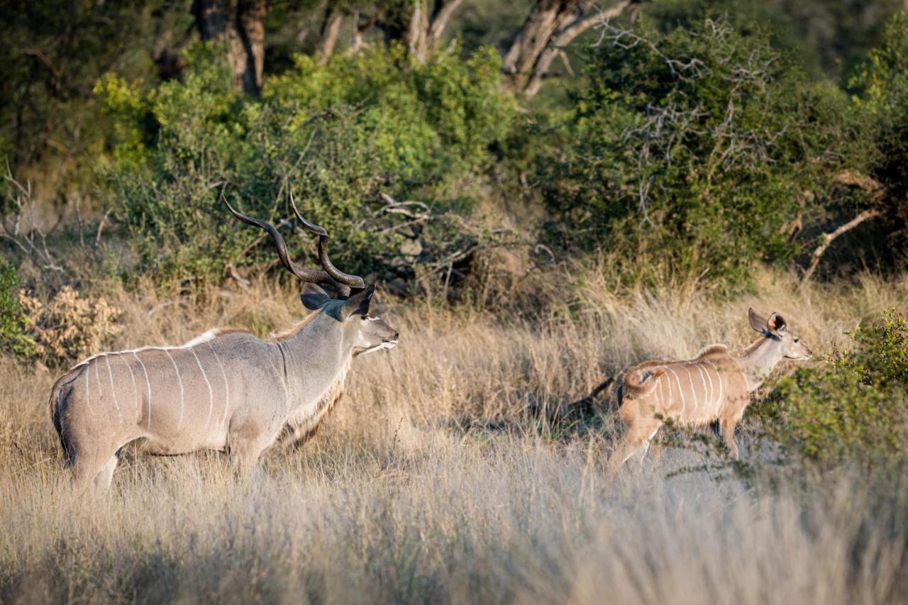 Nkuhlu Tented Camp สกูกูซา ภายนอก รูปภาพ