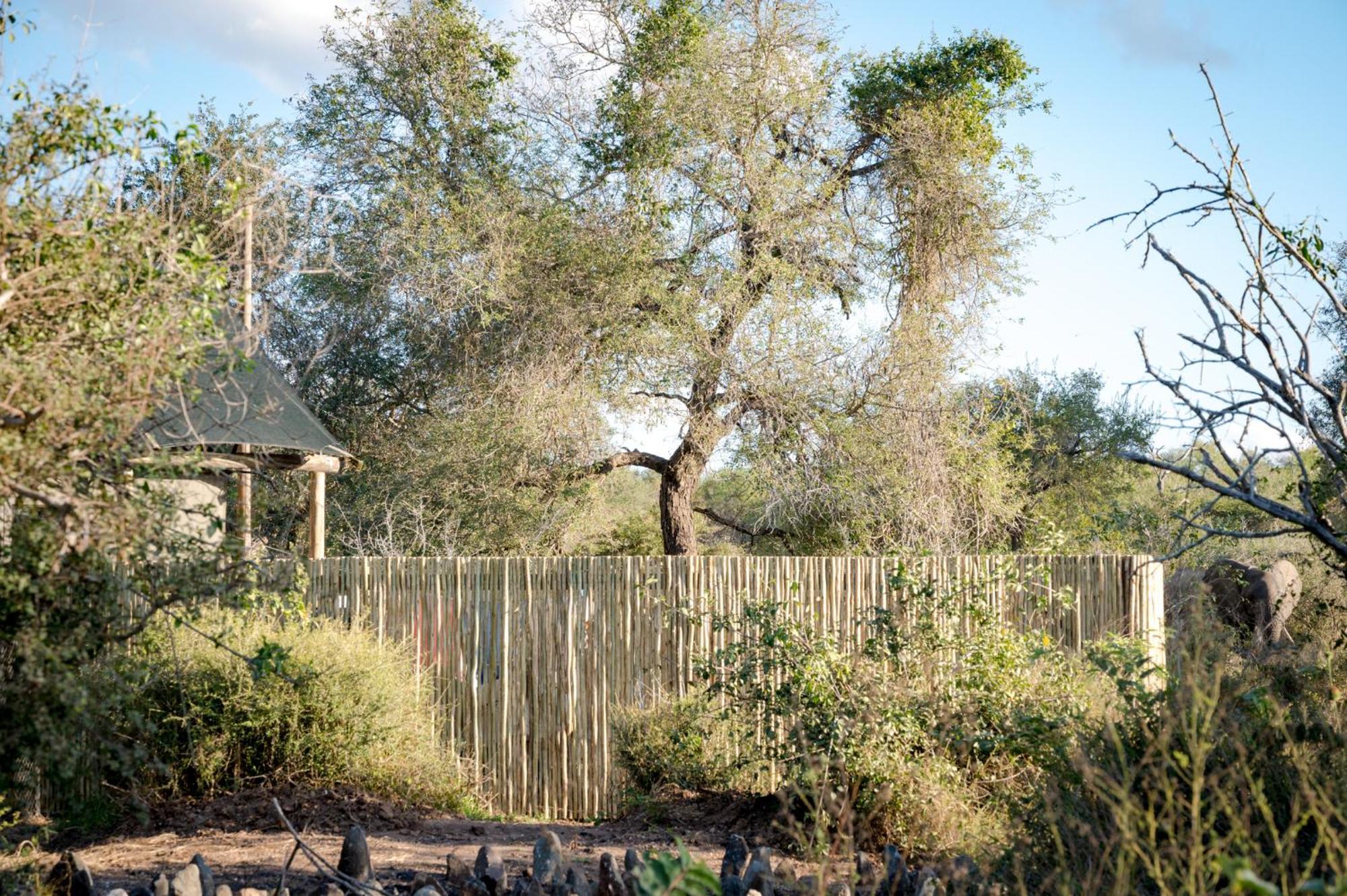 Nkuhlu Tented Camp สกูกูซา ภายนอก รูปภาพ