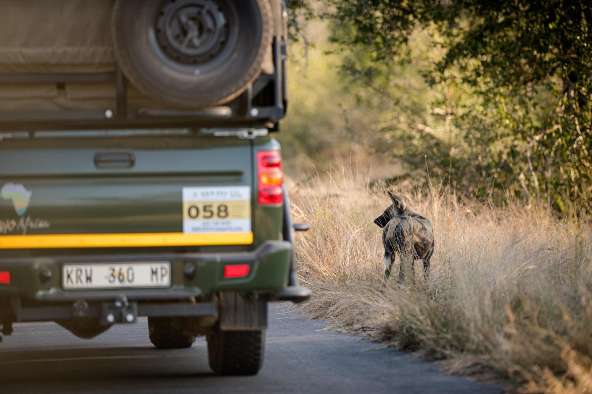 Nkuhlu Tented Camp สกูกูซา ภายนอก รูปภาพ
